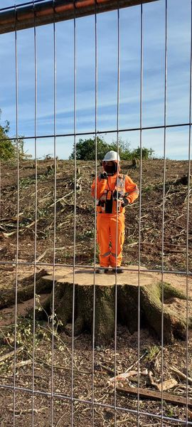 KangarooCaught's tweet photo. @savebutterflies @krishnaram @BBOWT #StopHS2 #CalvertJubilee #TreeKilling #TreeFelling #CEEBill #BiodiversityCrisis #ClimateAndEcologicalEmergency #Arboricide #Deforestation #HabitatDestruction #Ecocide

https://t.co/PMeL7EFJfH https://t.co/m11JPmlmz7