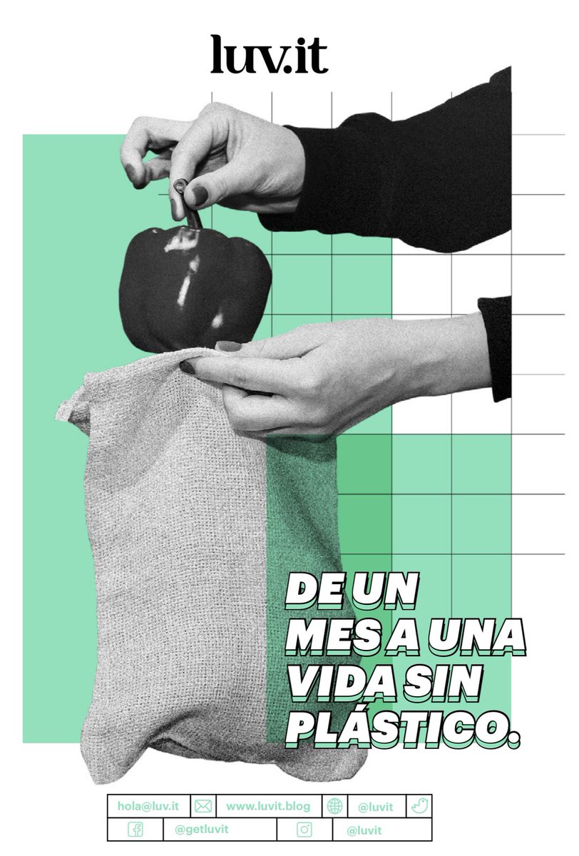 luvit's tweet image. Descarga la GUÍA DE ORO DE LUV.IT ✨y conoce tips, datos y recomendaciones para llevar una vida con menos plástico.

mailchi.mp/luv.it/luvitgu…
(Regístrate y revisa tu mail para descargarla)