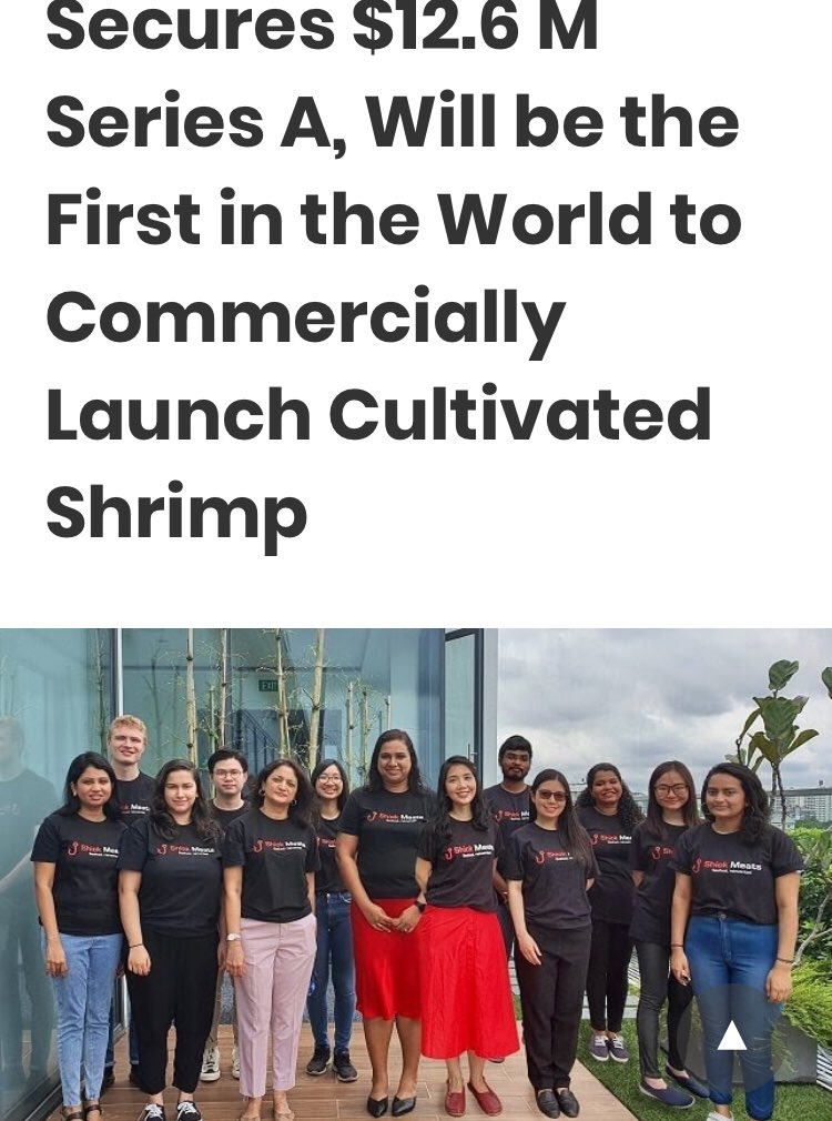 JeanLeong5's tweet photo. HUGE breaking news for Shiok Meats which has just secured $12.6 million and will be the first in the world to commercially launch cultivated shrimp. Go Sandhya and go Singapore! #shiokmeats, #singapore, #foodtechnology @shiokmeats #sustainablefood #cellularaquaculture https://t.co/ZMLHALU8dY