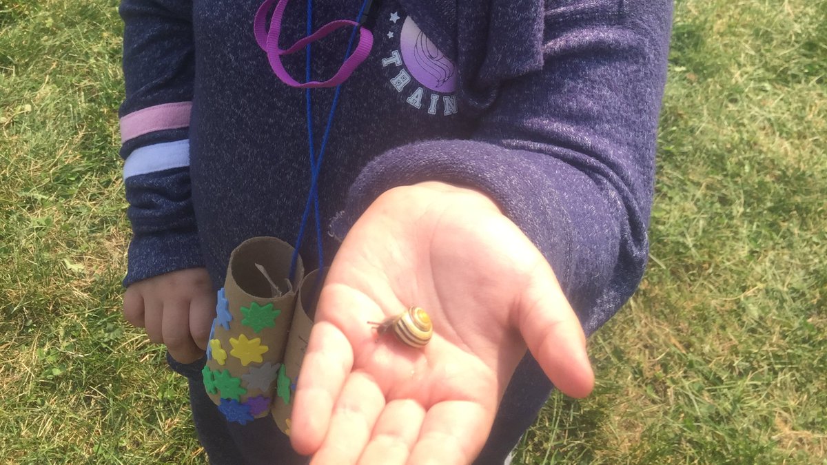 Sorting leaves and having a closer look at our friendly neighborhood snails <a href="/HuntersGlenJPS/">Hunter's Glen Jr P.S</a> <a href="/LC3_TDSB/">TDSB LC3</a> <a href="/EarlyYearsTDSB/">TDSB Early Years</a>
 #outdoorlearning #Autumn If you want to learn more about snails check out this great <a href="/SciShowKids/">SciShow Kids</a> video youtu.be/c8ma6vDvXAM