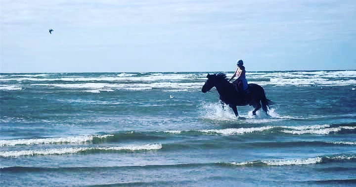 worm_egg's tweet image. Whitehill egg worm count lab lancashire #parasite #horseworming #horses #faecaleggcount #ponies #equestrians #equinescience #veterinaryscience #horseriding #ponyclub #dressage #showjumping #equine