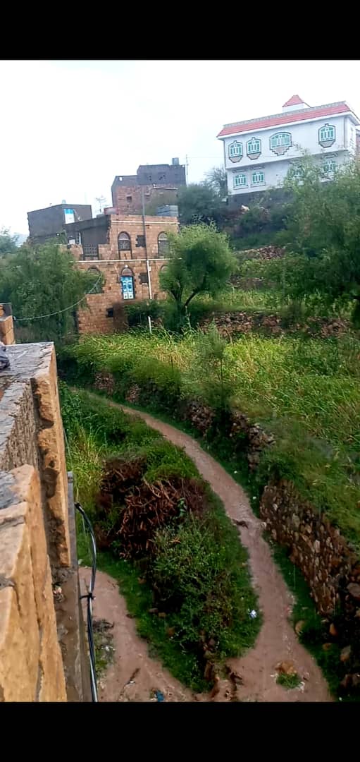 حياالله القمر الي علي الباب
لو غابت وراى  غيمه  تنور

أمي يافدا ضحكتك والحجاب
احلا منظر بعدالمطر متصور