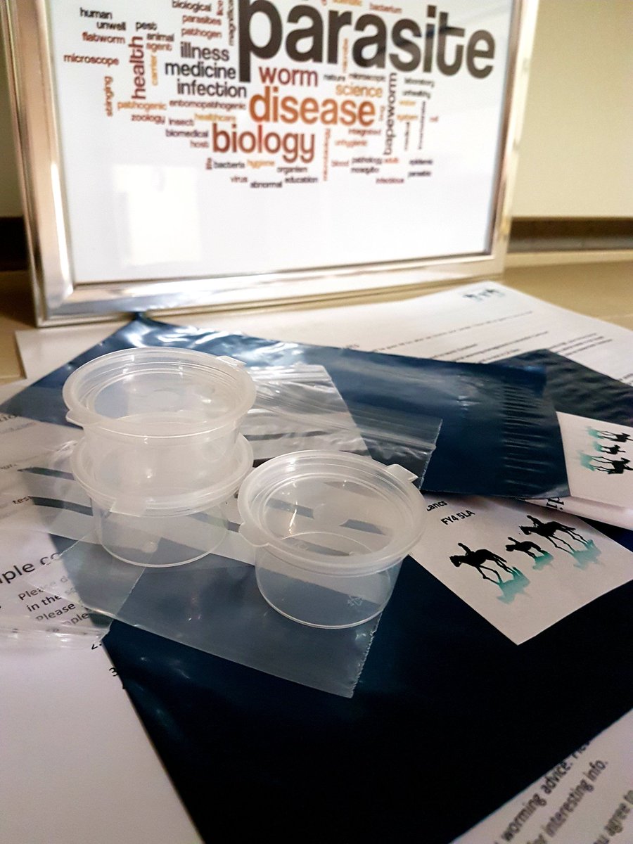 worm_egg's tweet image. Whitehill egg worm count lab lancashire #parasite #horseworming #horses #faecaleggcount #ponies #equestrians #equinescience #veterinaryscience #horseriding #ponyclub #dressage #showjumping #equine