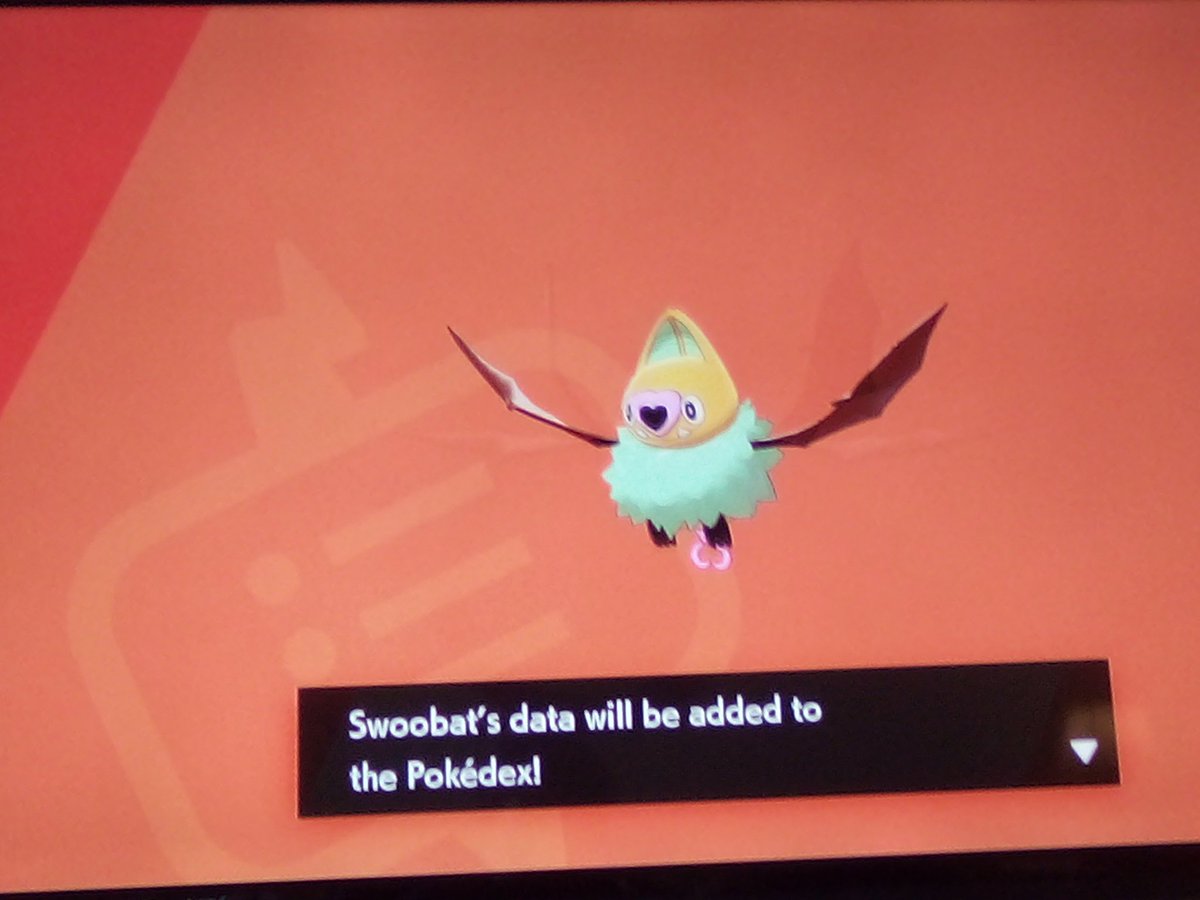 Cory_Thens's tweet photo. Yeah sex is cool and all but have you ever caught a shiny swoobat https://t.co/hHfbBLEsQ0