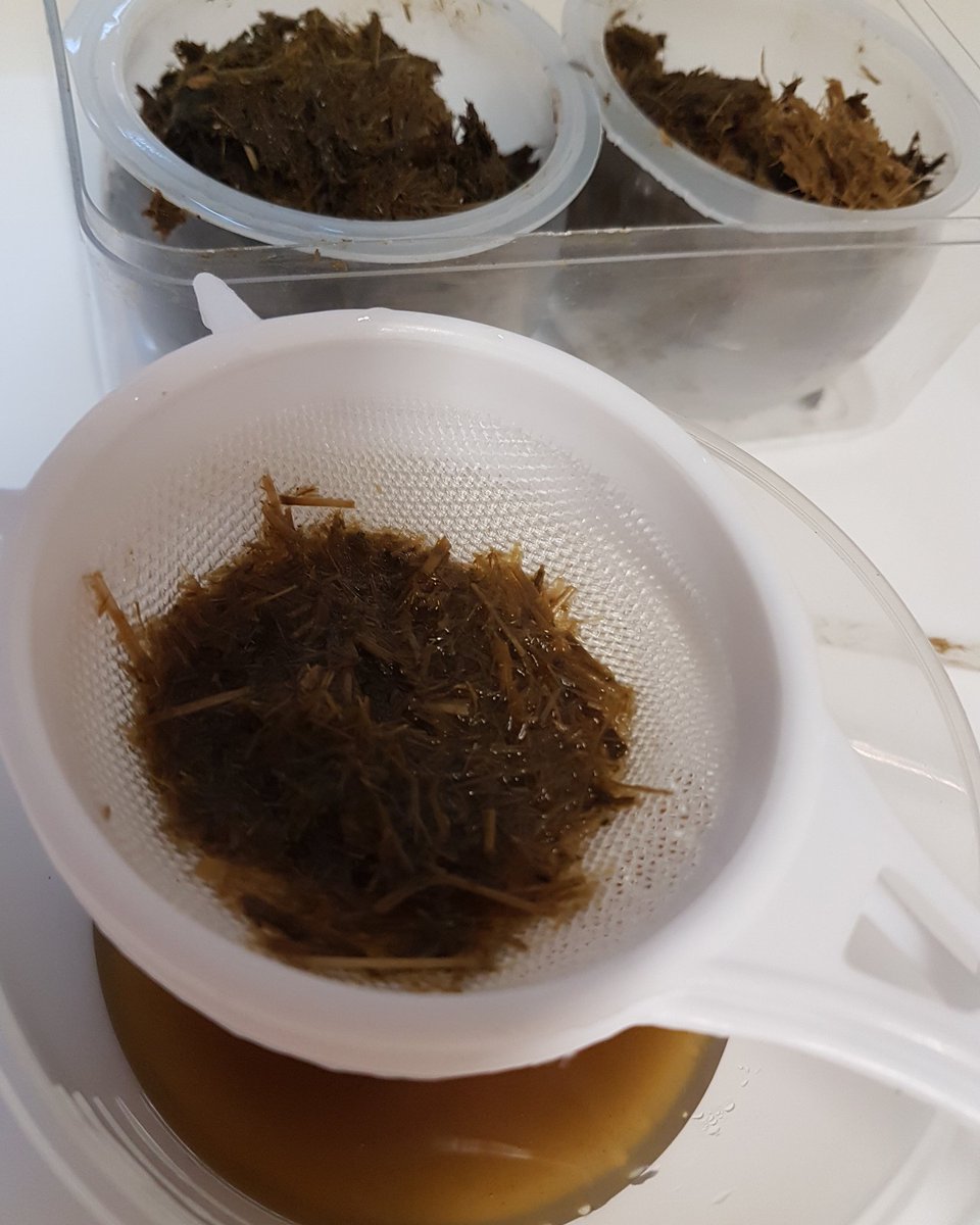 worm_egg's tweet image. Whitehill egg worm count lab lancashire #parasite #horseworming #horses #faecaleggcount #ponies #equestrians #equinescience #veterinaryscience #horseriding #ponyclub #dressage #showjumping #equine