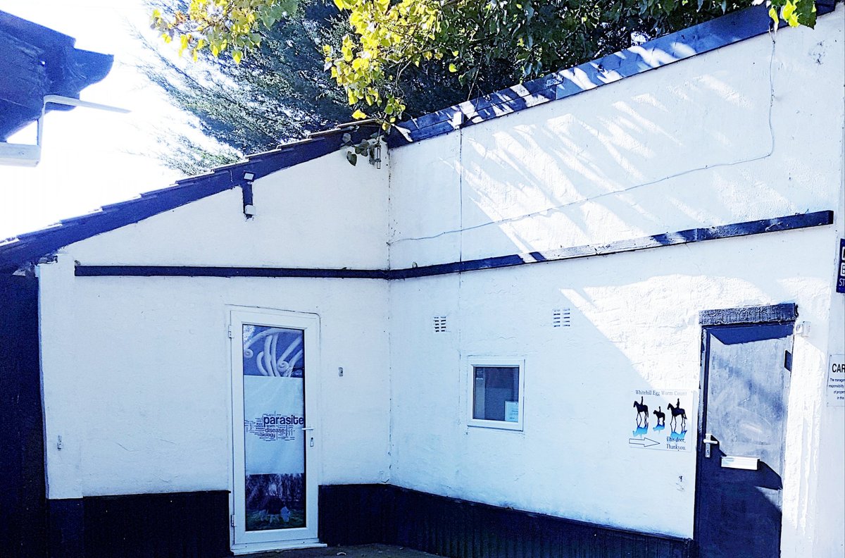 worm_egg's tweet image. Whitehill egg worm count lab lancashire #parasite #horseworming #horses #faecaleggcount #ponies #equestrians #equinescience #veterinaryscience #horseriding #ponyclub #dressage #showjumping #equine