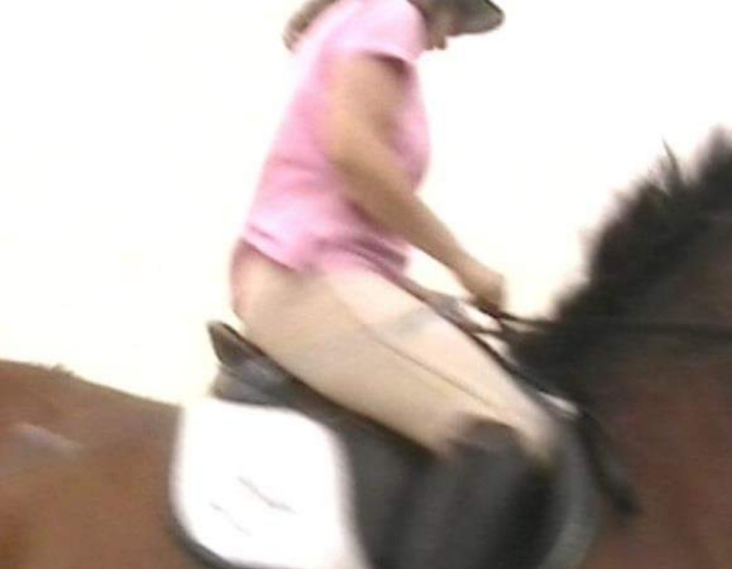 worm_egg's tweet image. Whitehill egg worm count lab lancashire #parasite #horseworming #horses #faecaleggcount #ponies #equestrians #equinescience #veterinaryscience #horseriding #ponyclub #dressage #showjumping #equine