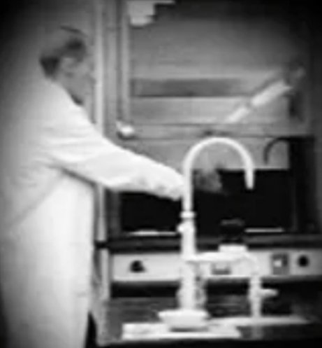 worm_egg's tweet image. Whitehill egg worm count lab lancashire #parasite #horseworming #horses #faecaleggcount #ponies #equestrians #equinescience #veterinaryscience #horseriding #ponyclub #dressage #showjumping #equine