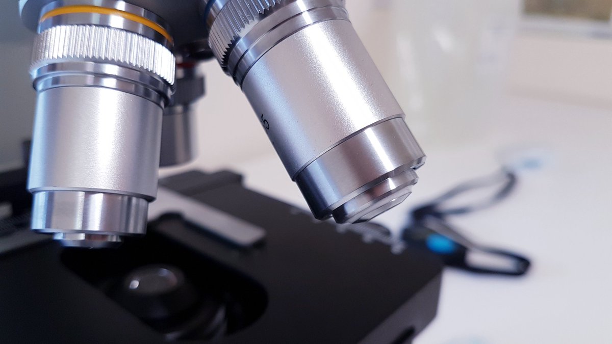 worm_egg's tweet image. Whitehill egg worm count lab lancashire #parasite #horseworming #horses #faecaleggcount #ponies #equestrians #equinescience #veterinaryscience #horseriding #ponyclub #dressage #showjumping #equine