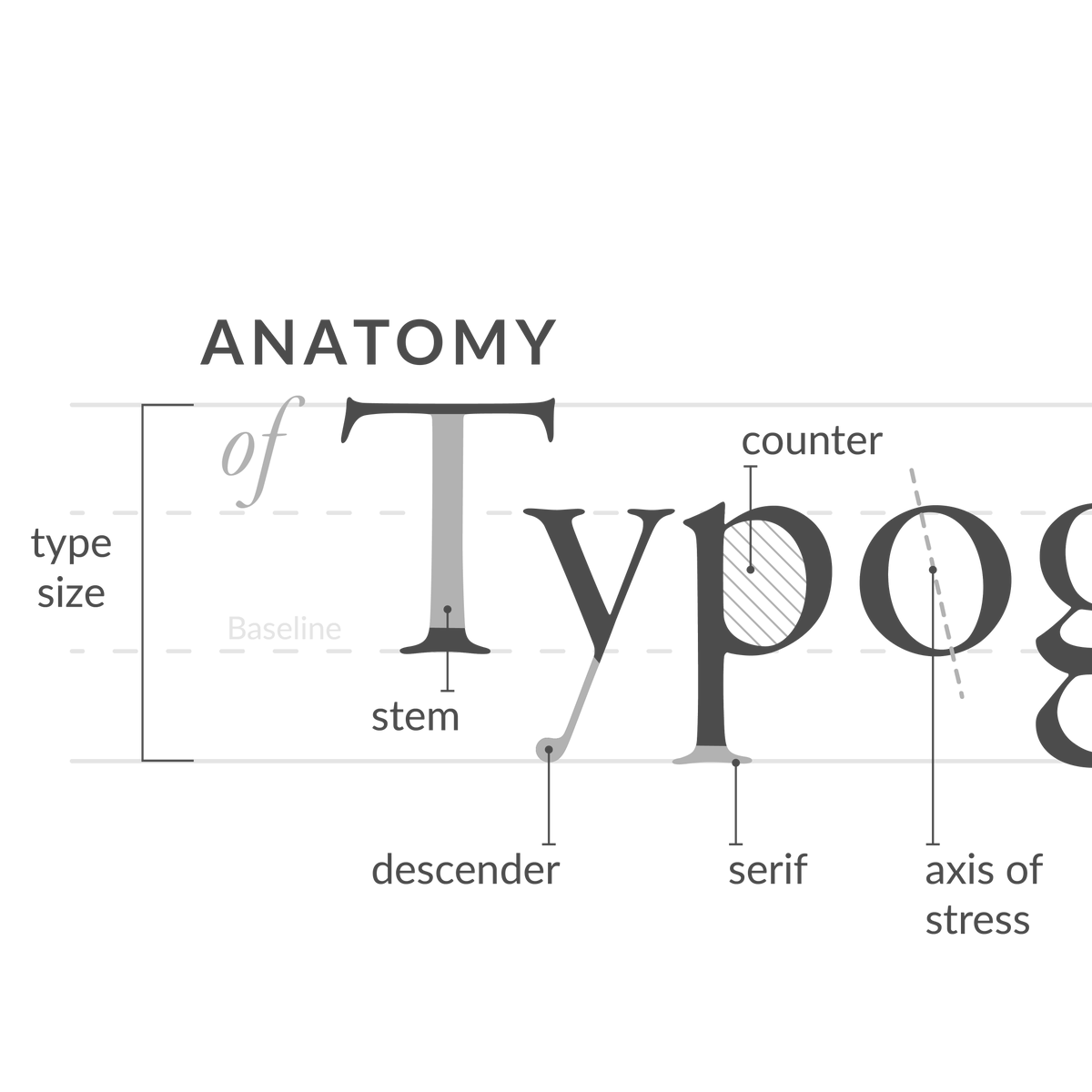 McGrath_McKenna's tweet photo. Believe it or not, there are names for all the parts of a letter. Check out this handy graphic to learn about the anatomy of typography!
#design #packaging #graphicdesign #designfirm #branding #denver #womenowned #wbenc #packagedesign #mcandmc #logo #printdesign #designgroup https://t.co/KdYb1gIQdN