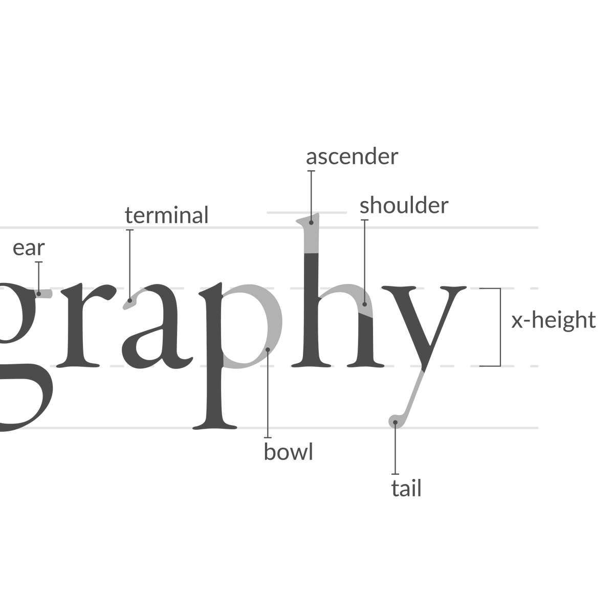 McGrath_McKenna's tweet photo. Believe it or not, there are names for all the parts of a letter. Check out this handy graphic to learn about the anatomy of typography!
#design #packaging #graphicdesign #designfirm #branding #denver #womenowned #wbenc #packagedesign #mcandmc #logo #printdesign #designgroup https://t.co/KdYb1gIQdN