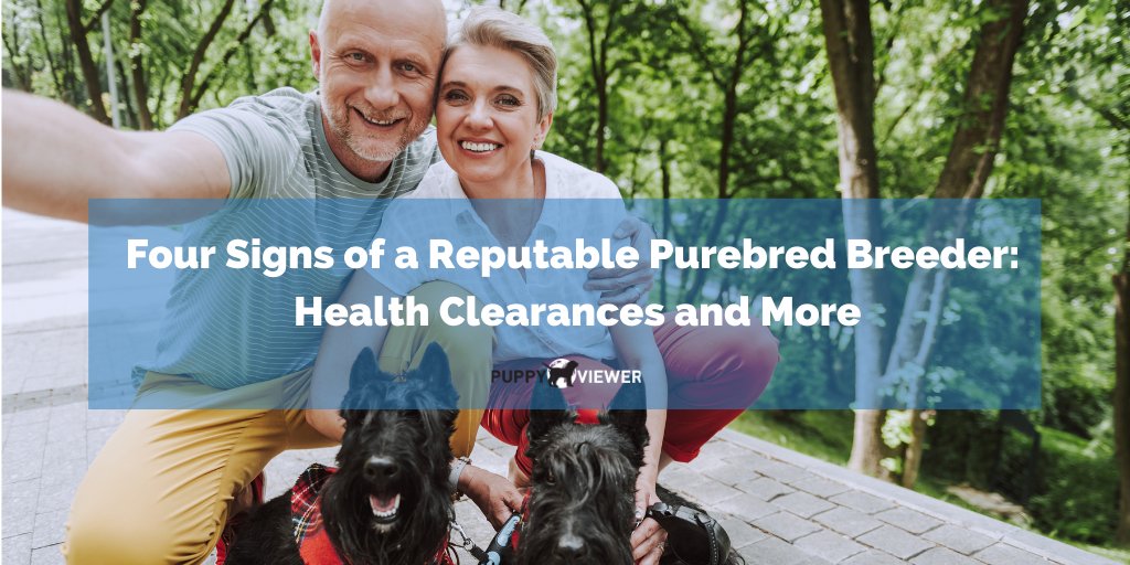 PuppyViewer's tweet photo. Finding a #breeder you truly connect with and trust is essential when searching for a new #puppy, but how do you know when you’ve found the right one? 🤔 Check out the latest blog post for a list of tips:  https://t.co/O5RKXzwscY https://t.co/MSOAomgQtg