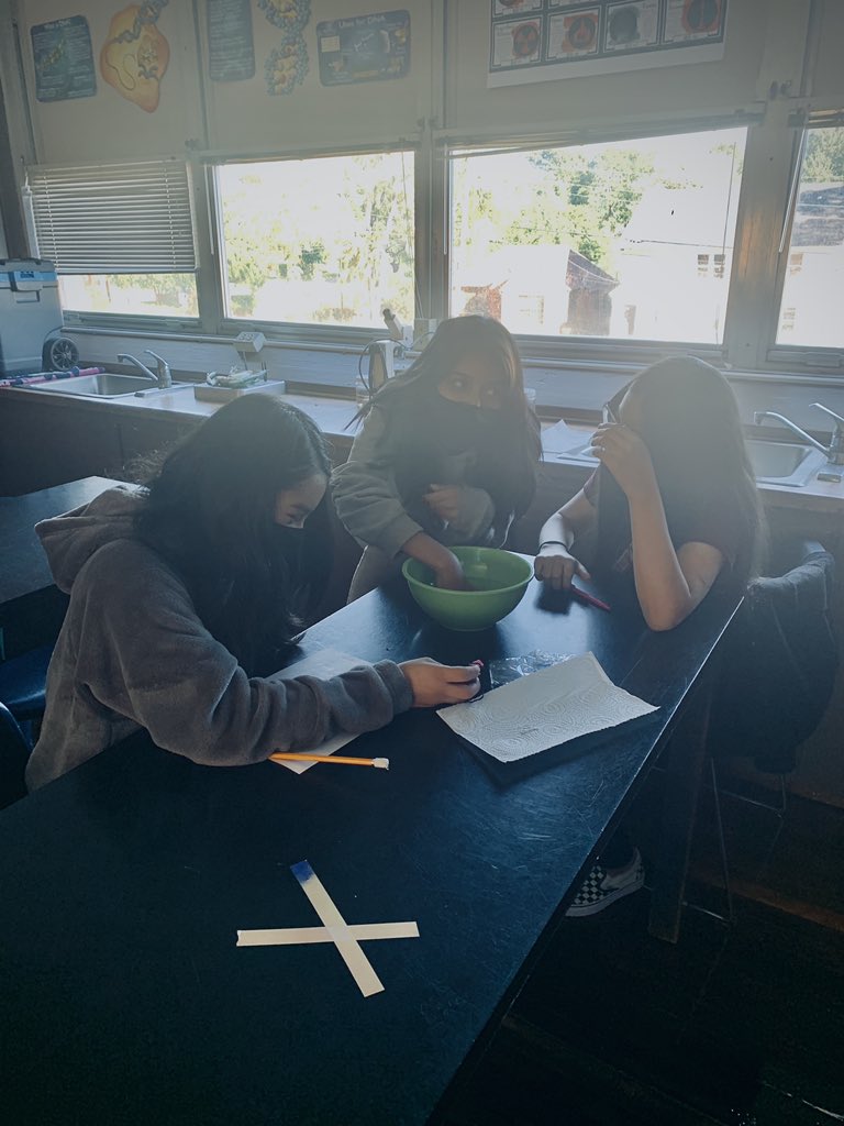 clague_courtney's tweet image. 7th grade scientists investigating how ice cold water effects the human body and homeostasis @hoggtylerisd #7science #homeostasis #investigators