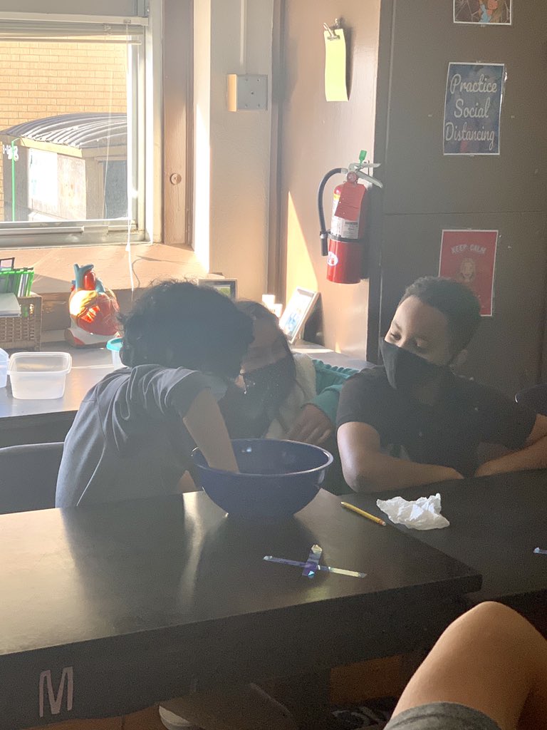 clague_courtney's tweet image. 7th grade scientists investigating how ice cold water effects the human body and homeostasis @hoggtylerisd #7science #homeostasis #investigators