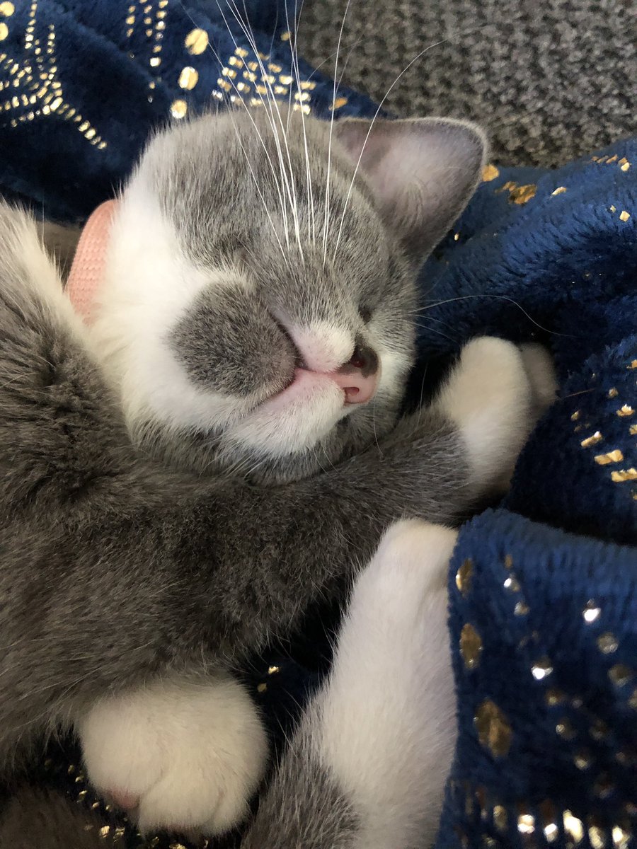 Suzanne Earley tweet media