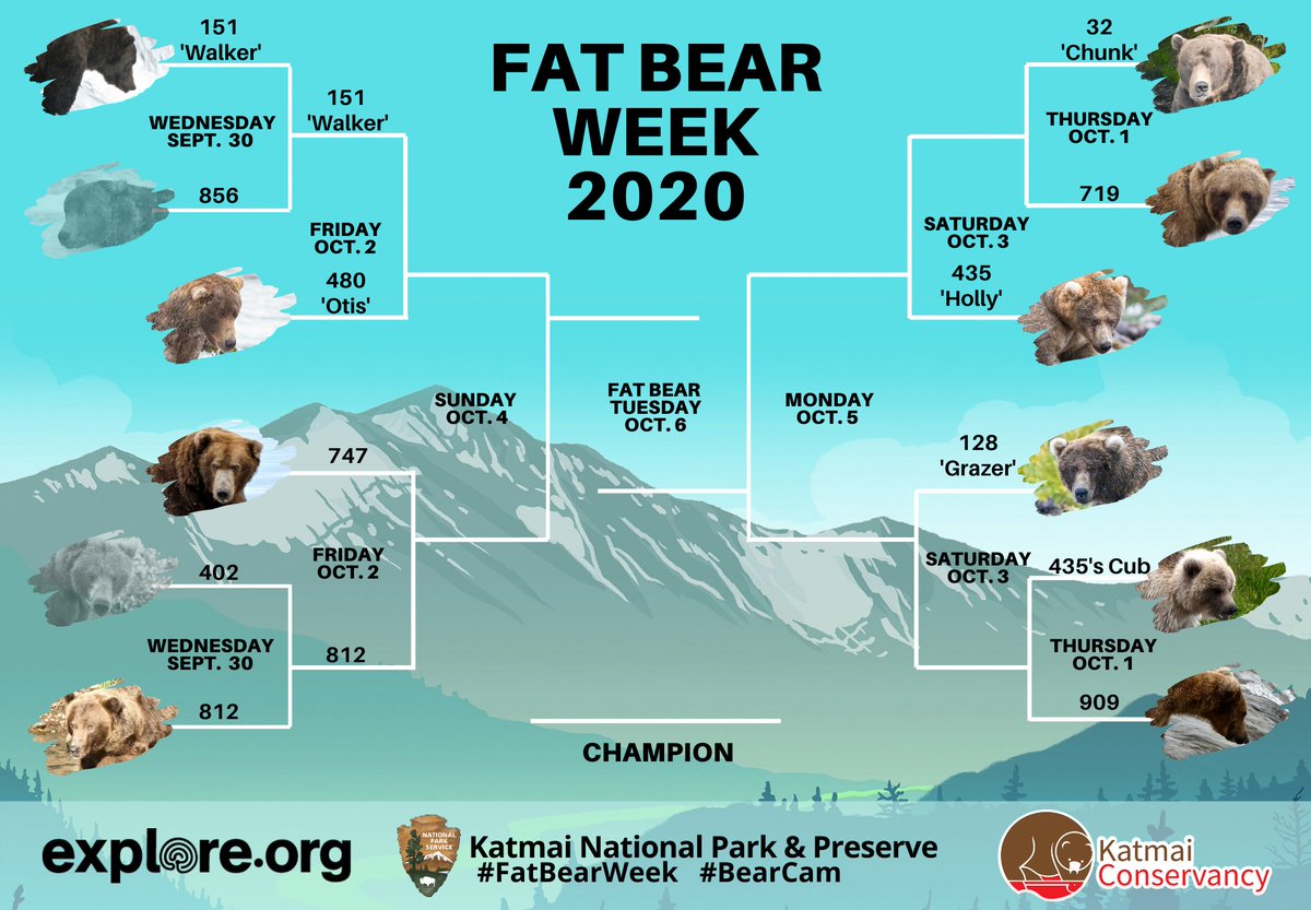 Fat Bear Week 2020 bracket, bears 151 Walker and 812 move on to face opponents 480 Otis and 747 on Friday.