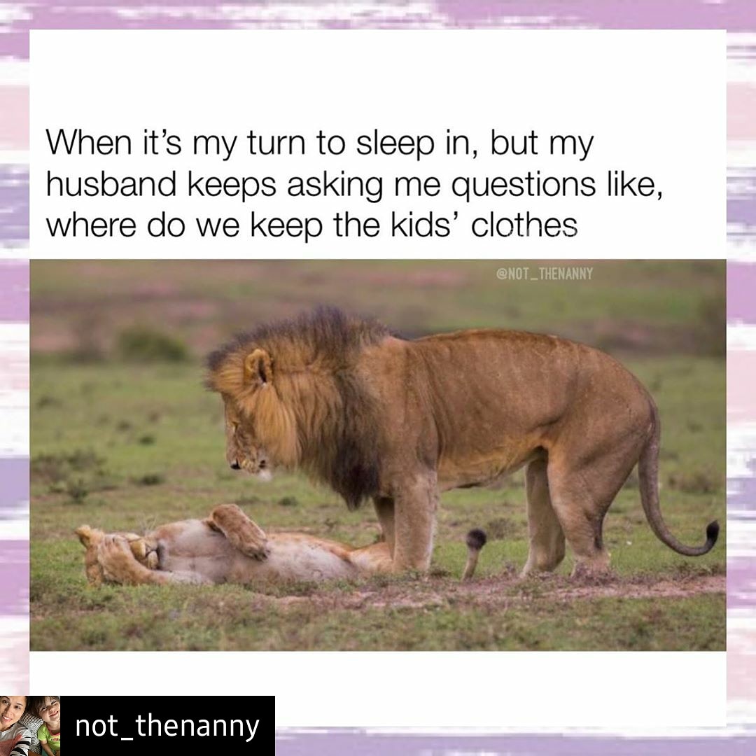 momsnothavingit's tweet photo. My husband *feeds baby*.. *wakes me up* : "Do I have to burp her?"
.... well, idiot, she's 4 months old. Do you REALLY not know if you have to burp her after feeding her by now?
.
#tired #tiredasamother #husband #mom #moms #mamas #motherhood  #motherhoodunplugged #reallife https://t.co/rwizmIrTyd
