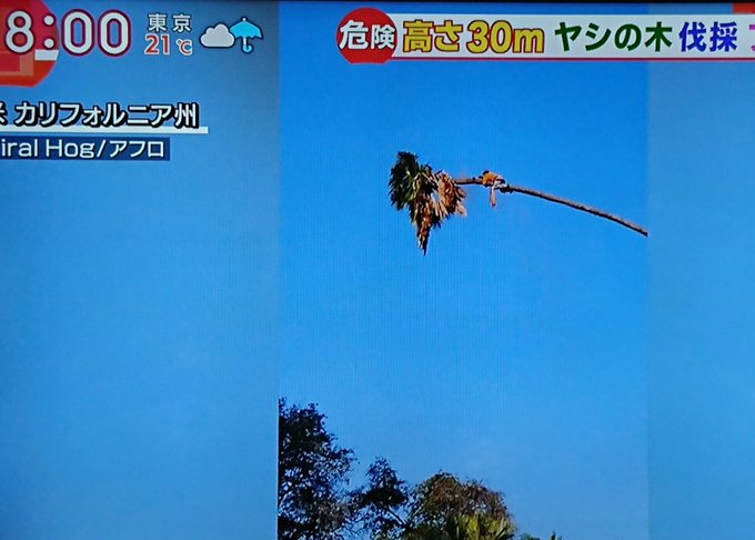 バーフバリのtwitterイラスト検索結果