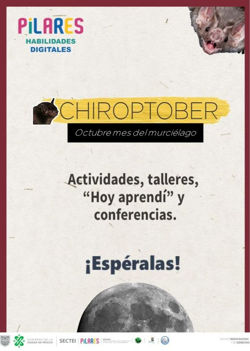 Bioconciencia__'s tweet photo. ¡Este año PILARES Habilidades Digitales se une a los festejos de los murciélagos con actividades y charlas padrísimas! Muy pronto... 🦇🦇
#murciélagos #PILARES #Chiroptober #PCMM #RELCOM #BatWeek https://t.co/eE6I7jgP7n