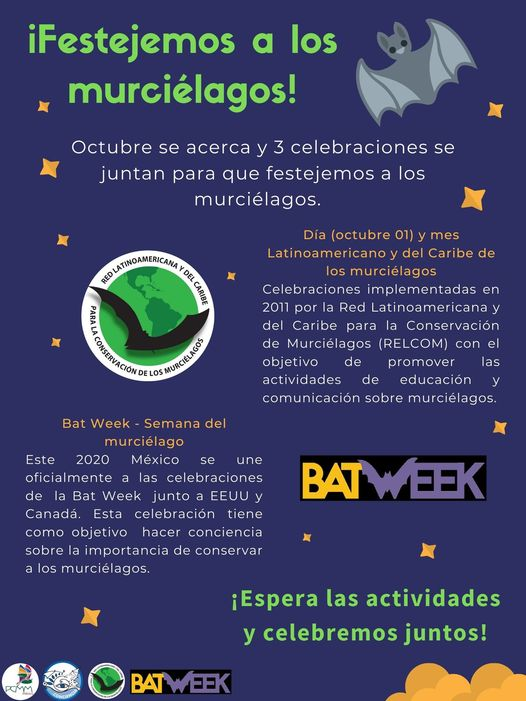 Bioconciencia__'s tweet photo. ¡A nada de ser octubre y ya vienen los festejos de los murciélagos! 
Este 2020 además de celebrar el día y el mes latinoamericano y del caribe del murciélago, México se une a las celebraciones de la Bat Week.  
¡CELEBREMOS JUNTOS! 
#murciélagos #mesdelmurciélago #BatWeek #PCMM https://t.co/I0fLzDFLNr