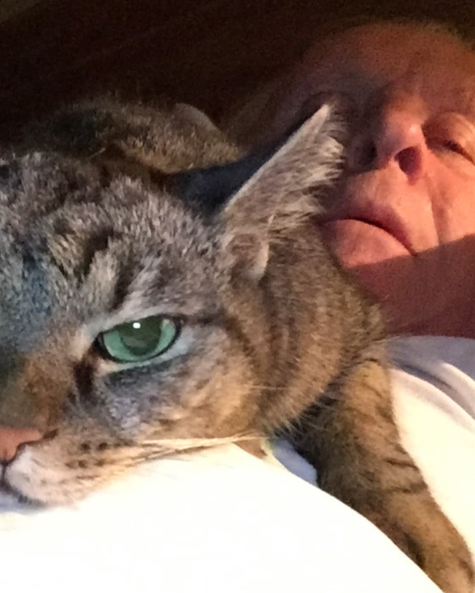 Kasabuta 999 おトムに指をさされ隊 No Twitter 猫吸い で笑みが止まらない アンソニー ホプキンス 愛猫ニブロとの幸せ動画投稿に 2時間はみていたい と俳優仲間が絶賛 そんな円盤あったら買うわ ハンニバル 猫好き Kasabuta 999 おトムに指をさされ隊 No Twitter 猫吸い で笑みが止まらない アンソニー ホプキンス 愛猫ニブロとの幸せ動画投稿に 2時間はみていたい と俳優仲間が絶賛 そんな円盤あったら買うわ ハンニバル 猫好き