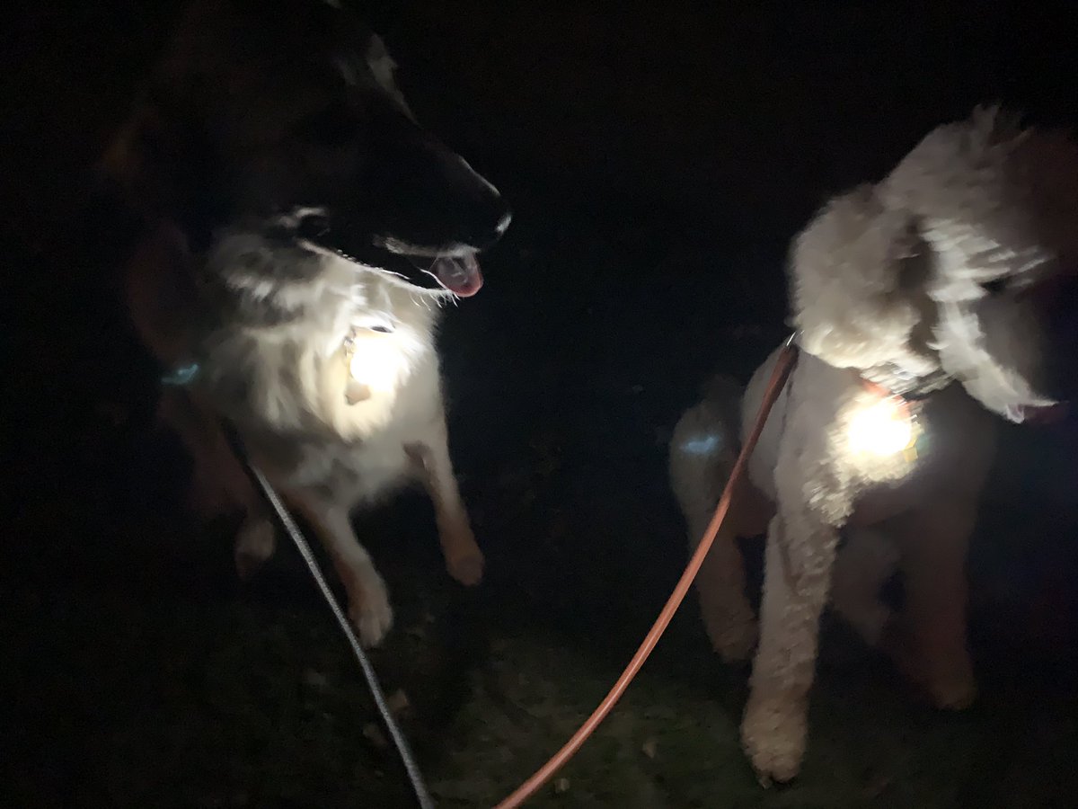 failedinsomniac's tweet photo. @jenrunswithdogs Lovely clear 70-degree night here in OK, just did 5.5K at my best pace yet (still embarrassingly slow)! Starting to look at virtual races...🤔
#Less2C #amrunning https://t.co/mCzYGUCh5C