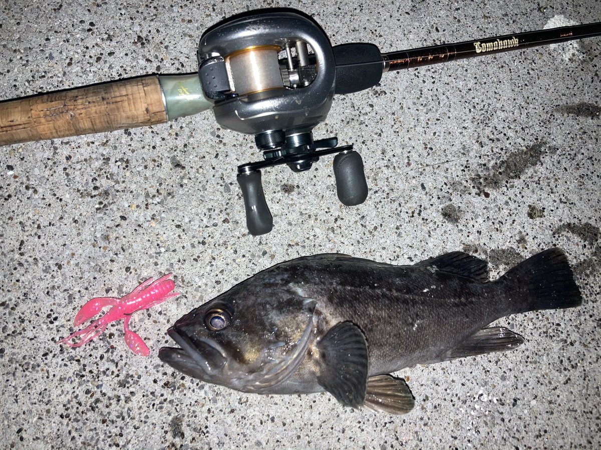 工藤昌嗣 ナイトロ文句無し ドライブシャッド3 5ノーシンカーでボコボコ Max37cm 浦川プロのカラーやばいんです ドライブクロー3ソルトカラーのピンクバックグローでも尺超えがっつり釣れました Osp ルアー屋さん ドライブシャッド