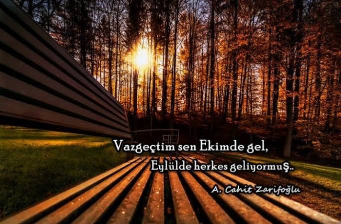 Sonbaharı Anlatan Etkileyici Sözler | Sonbahar Sözleri