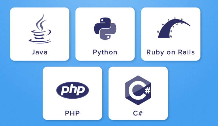 Of course, you will need a backend environment/language to put this into practice. Some of them for you to pick from:- C#- Java- NodeJs- Python- Ruby- PHP There are more, but any of these should be great. If you already know Javascript NodeJs is the easy path.