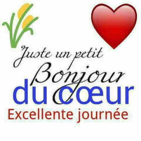 AdelineMathil19's tweet image. ❣️Bonjour ❣️
 je souhait à tous une excellente👍 journée, que la grâce de Dieu nous atteint quelques soit l&apos;endroit et le domaine nous exerçons 🙏🙏🙏