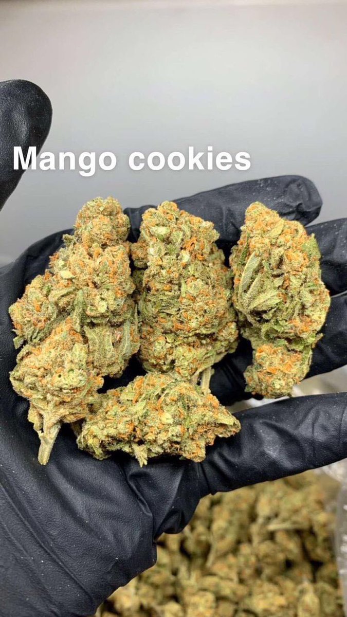 MatsVapes's tweet photo. #weedlife #joint #weedmemes #love #smokeweed #bud #growyourown #society #stoners #instaweed #art #girls #marihuana #terps #dab #hash #like #ganjagirls #mmj #wax #memes #cbdoil #blunt #edibles #follow #bhfyp #california #weedcommunity #weedsociety #music https://t.co/jyIYNk7D6L