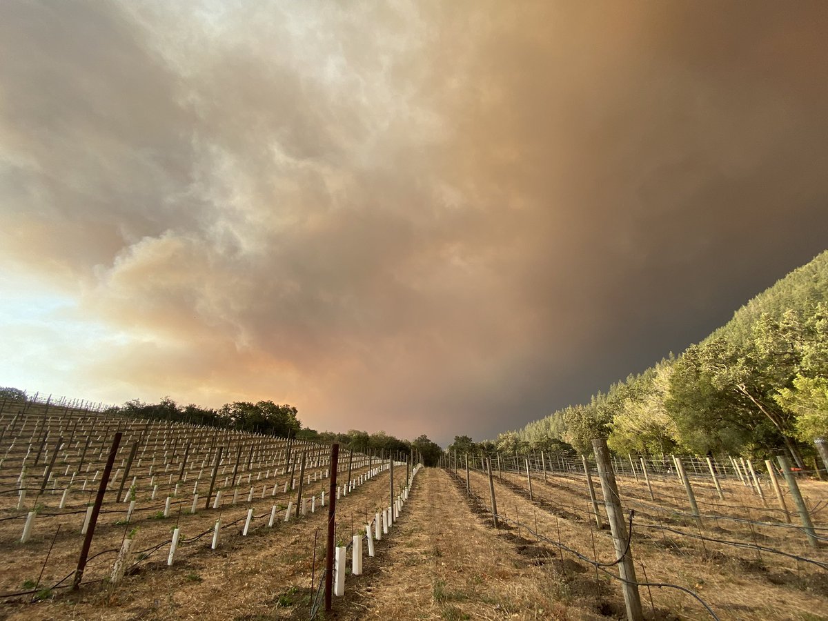We are still safe although the fires are close. Wish us luck as we work with the brave <a href="/CalFire/">CalFire</a> crews to try to protect Old Lawley Toll Road.