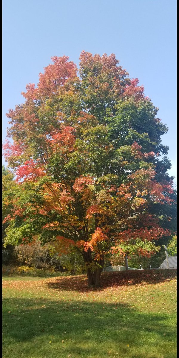 redcx5's tweet photo. @OntarioParks @SilentlakePP https://t.co/6Zl9Jz0itr