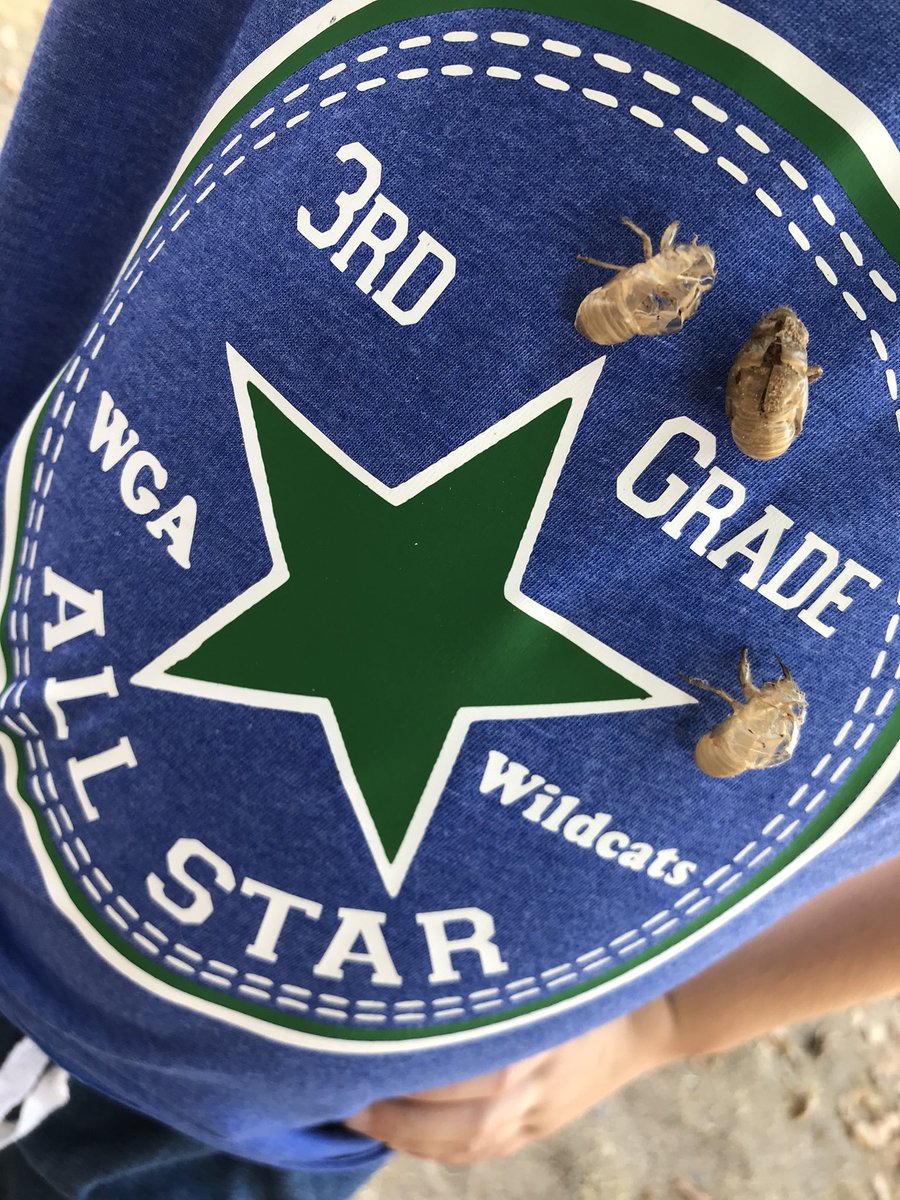 wga3rd's tweet photo. We loved seeing all the ways our #wga3rd graders showed their school spirit! #growwga https://t.co/nOirFQ6zkK