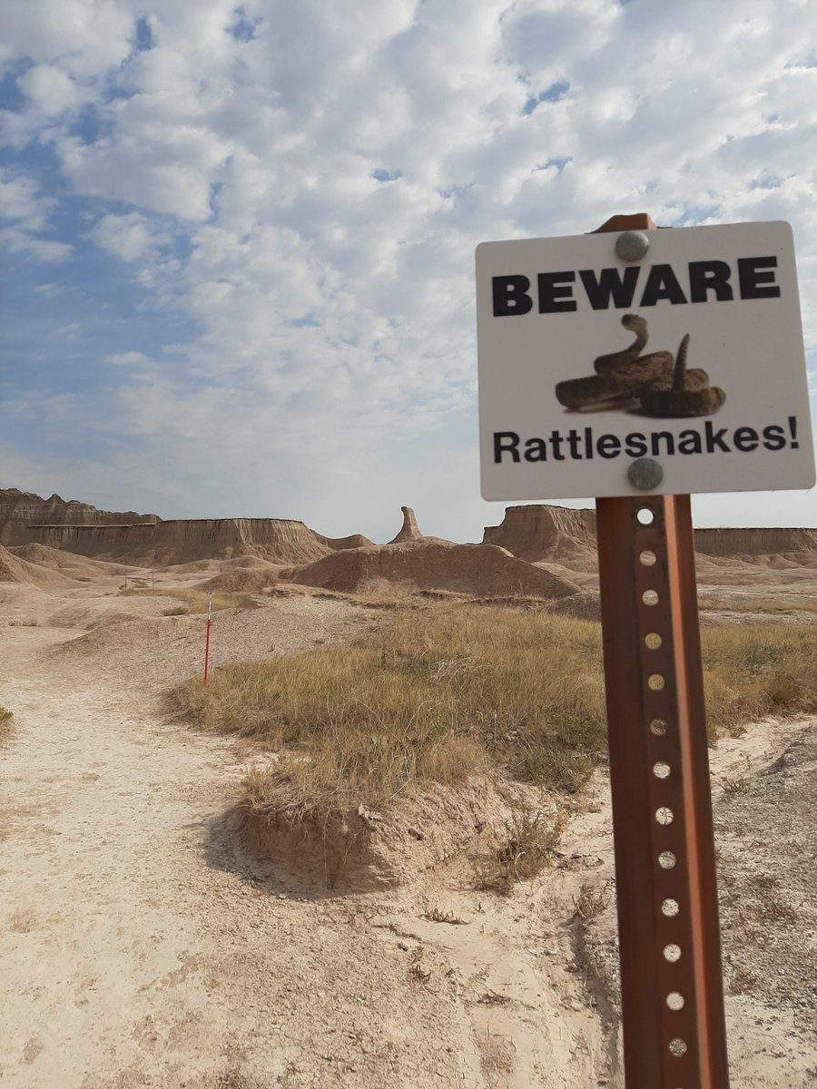 RuthTheHiker's tweet photo. @TheBadlands https://t.co/z2w2hGcIQn