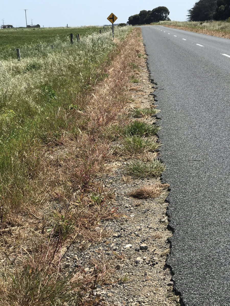 We’re fighting it, while the local council breeds it........