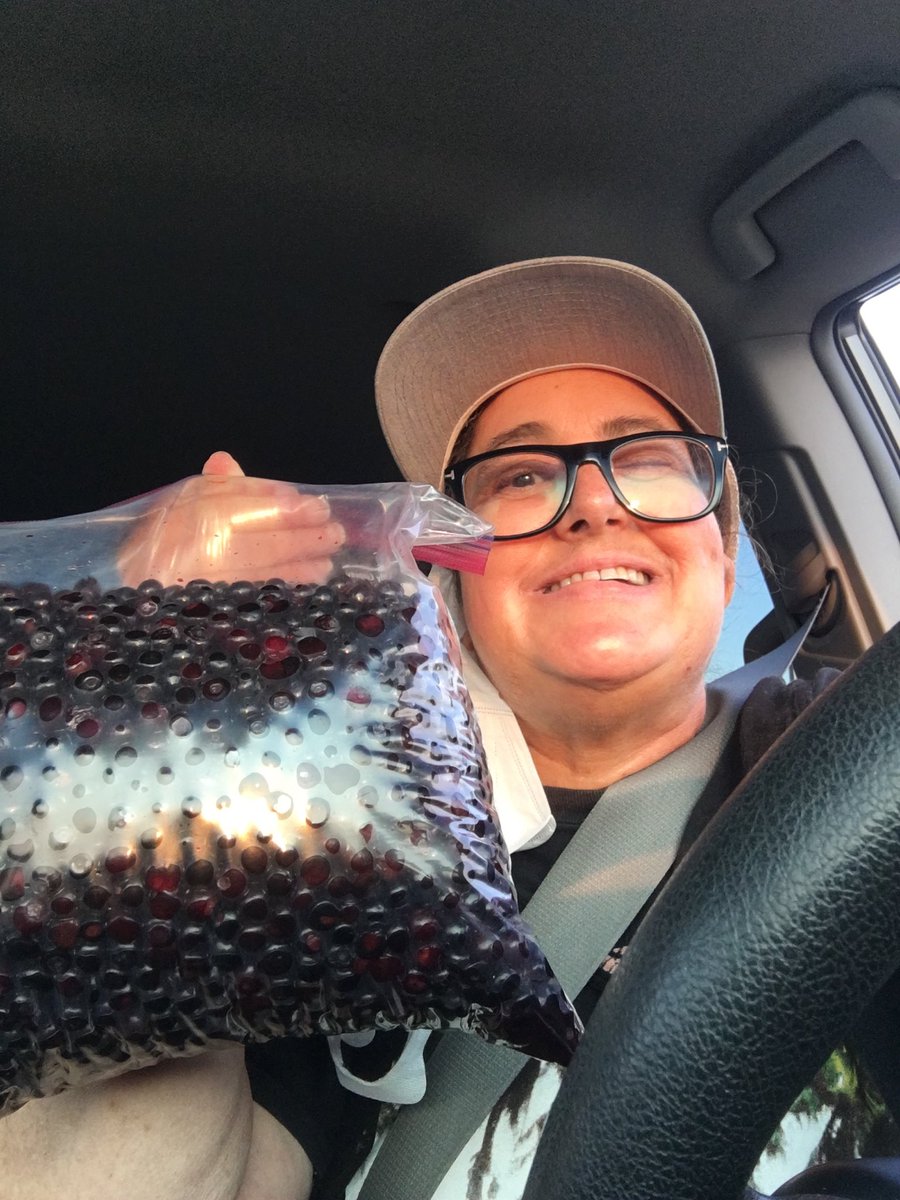 AdoptBlock's tweet image. Hucks 🤗