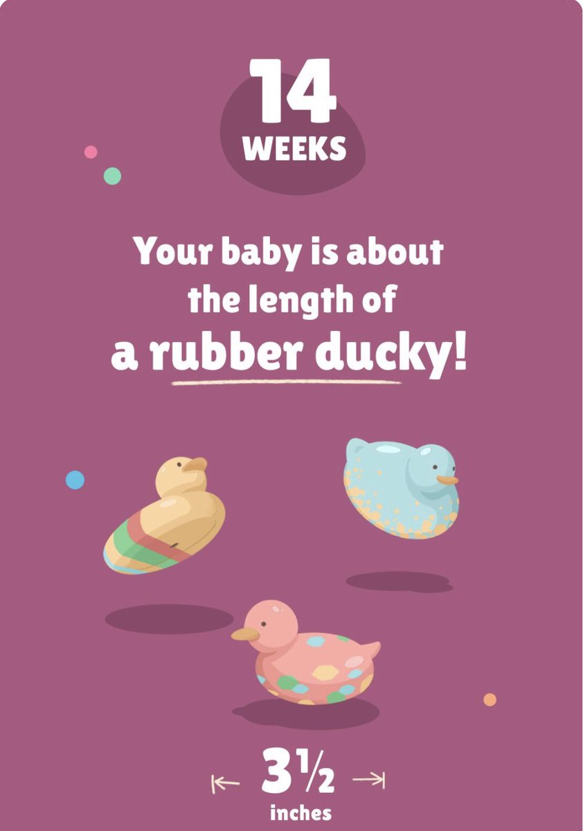 14 weeks pregnant with babygirl. 🥺🥰

pc; <a href="/surfer_dudex/">Chase 🤙🏼</a>