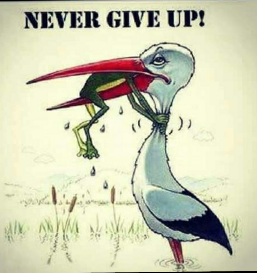 modoub20's tweet image. As long as there is life, there is hope too.