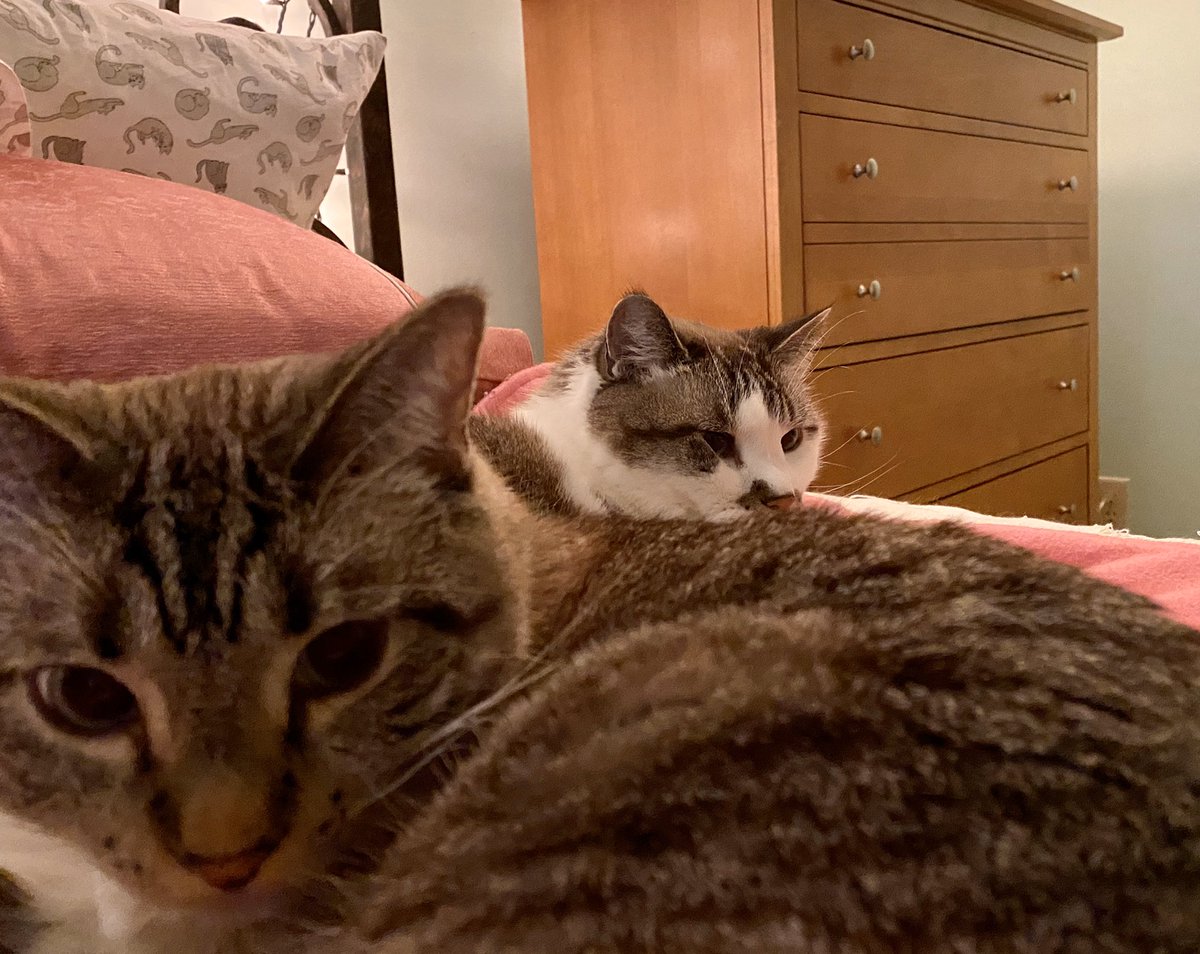 ItsMeDeaner's tweet photo. Deans favorite time of night .. #theCuddle https://t.co/5EvY42pLK7