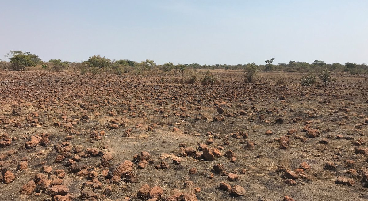 Advanced Metallurgical Programme confirms $CAY ’s very high grade #bauxite product specifications: bit.ly/3l1mwX9