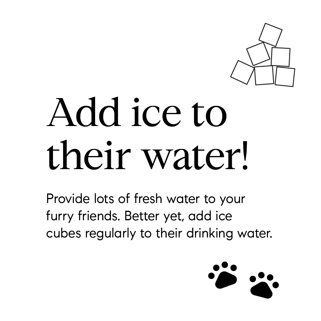 Bouncewilliams's tweet photo. Tips to keep your pup cool! 

#HeatDuringFall #KeepCool #AgentsOfCompass #Compass #CompassRealEstate #FindYourPlace #BounceWilliams #LetsBounce #LosAngeles #Brentwood #SantaMonica #LosAngelesRealtor #RealEstate #LosAngelesRealEstate https://t.co/txDElT7urs