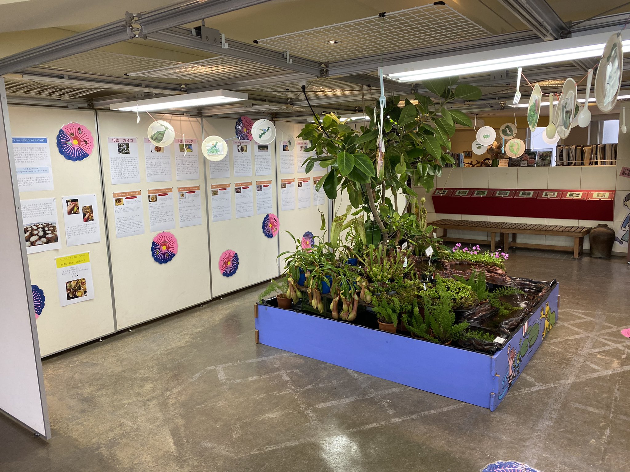 道草michikusa 苔テラリウム専門 در توییتر 食虫植物展やってる ん カミキリムシの幼虫が1番美味しいらしい