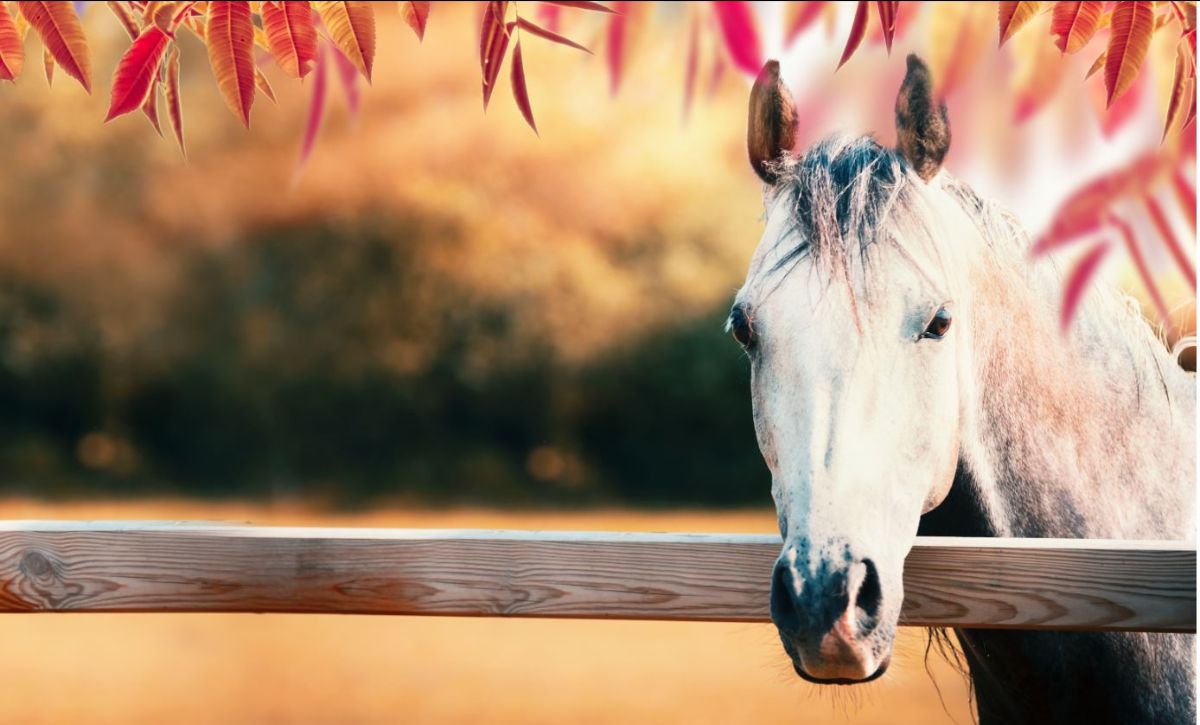 News and announcements for September 30 - mailchi.mp/c22c3fcf7ca4/n…  Check your inbox now!