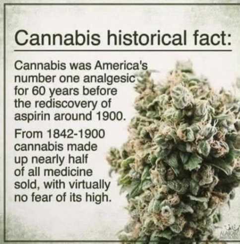 whollycal's tweet photo. Knowledge is Power 🙏 https://t.co/zVuPVrghiR