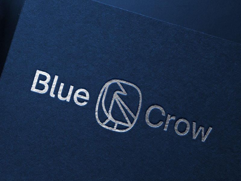 BlueCrow Capital tweet media