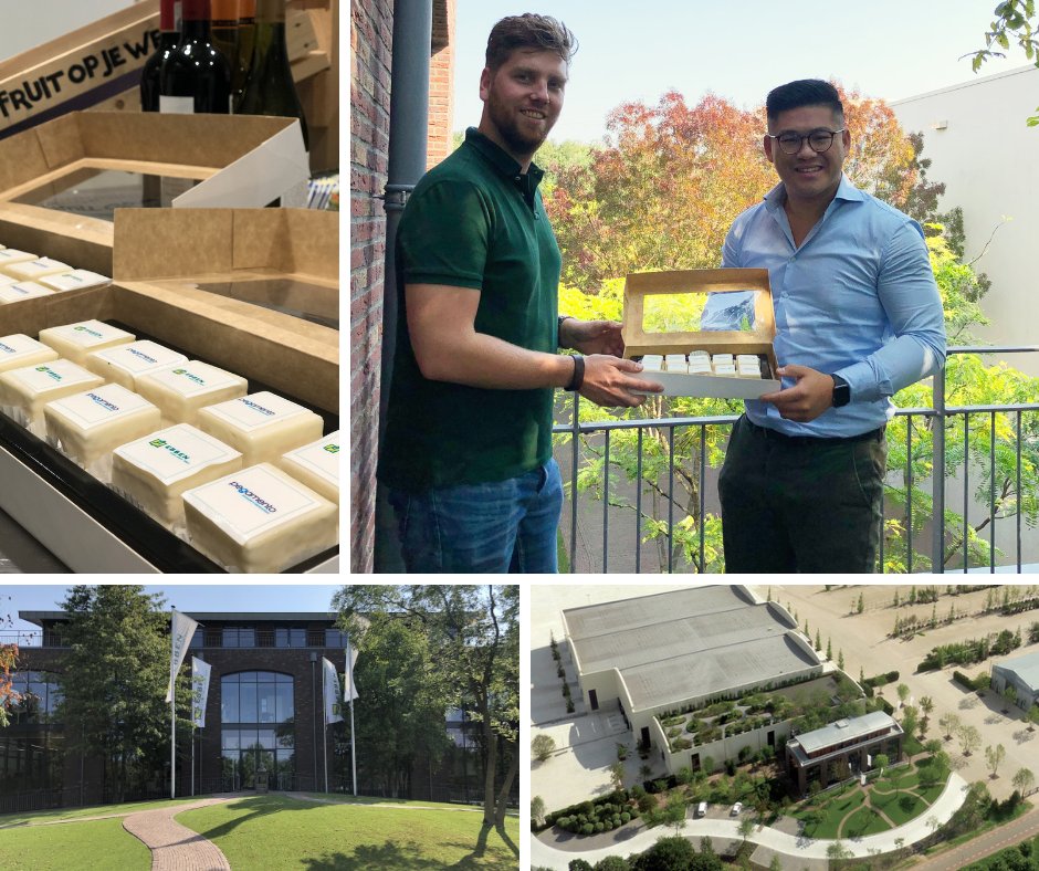 PegamentoNL's tweet image. Van plantreis naar klantreis. Samen met Boomkwekerij Ebben keken we naar processen die door de inzet van RPA strakker ingericht konden worden. Dit leverde Ebben een absolute tijdbesparing voor hun medewerkers die ze nu beter en anders kunnen inzetten.

#klantcontact #robotiseren