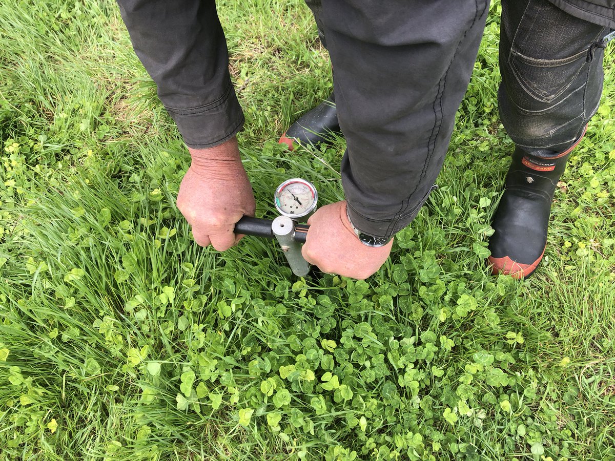 floyds63's tweet photo. Got to admire the pastures in the South West of WA , just add water, pastures grow, but no nods. #pasture #highrainfall #showusyournods https://t.co/RtciGlQgBB