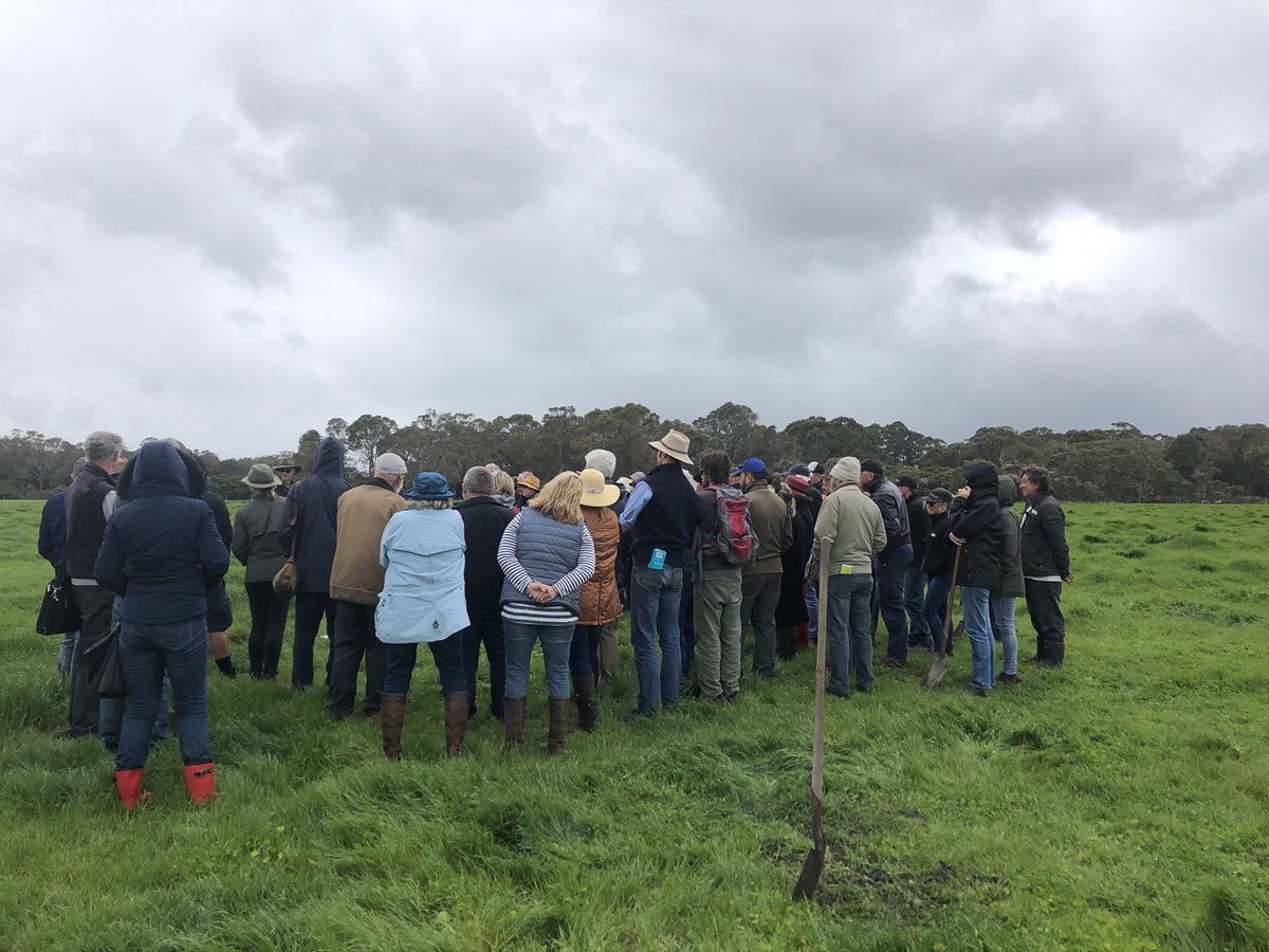 floyds63's tweet photo. Got to admire the pastures in the South West of WA , just add water, pastures grow, but no nods. #pasture #highrainfall #showusyournods https://t.co/RtciGlQgBB