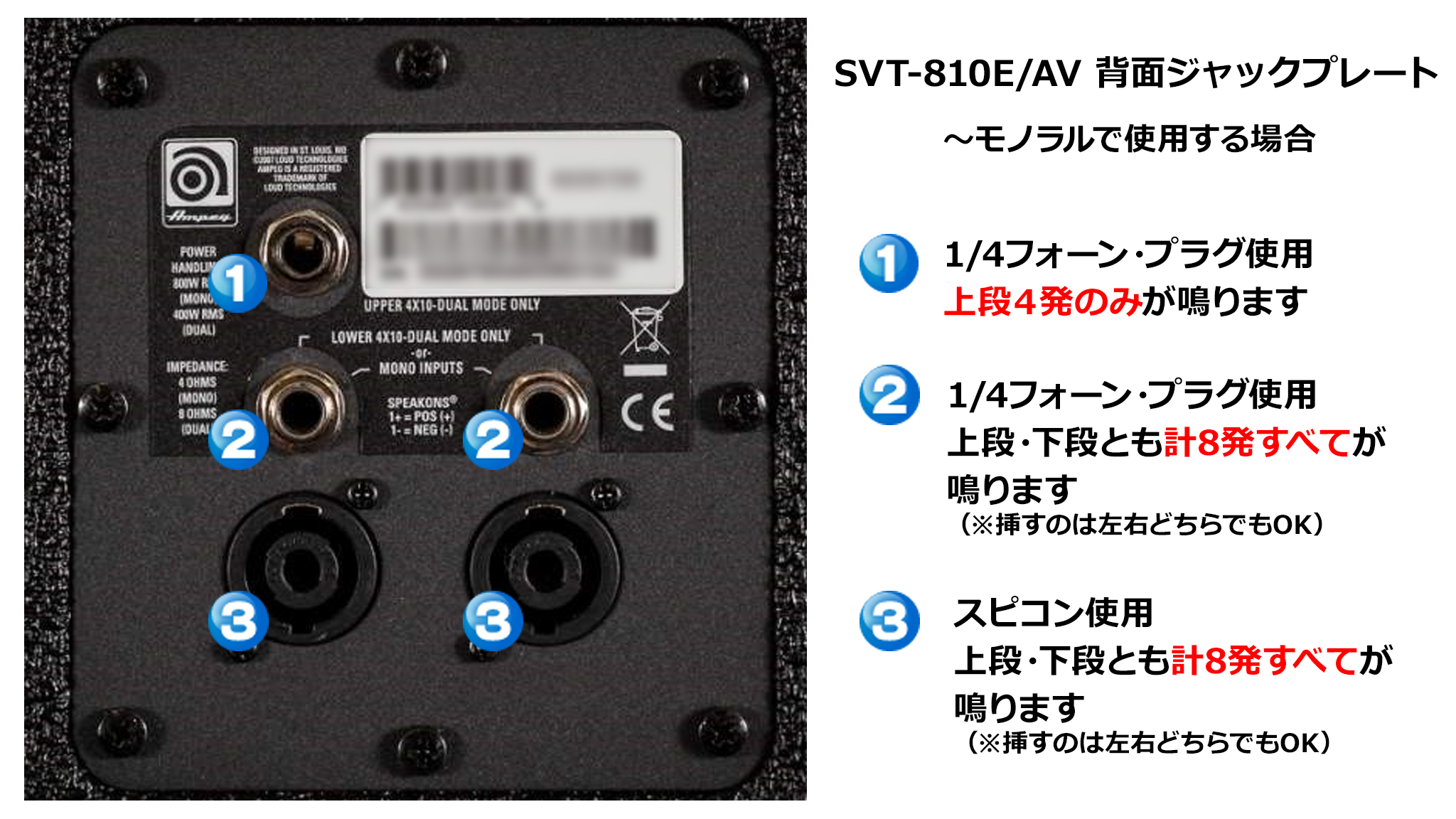Ampeg Japan on X: 
